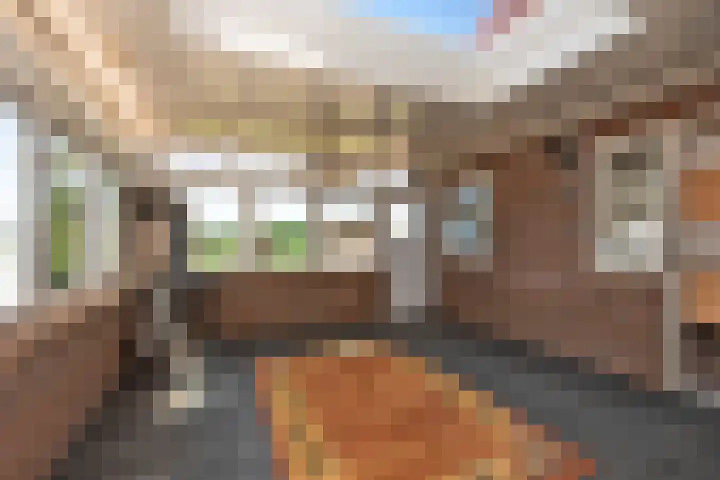 De Haverkamp 20 Reutum thumbnail 10