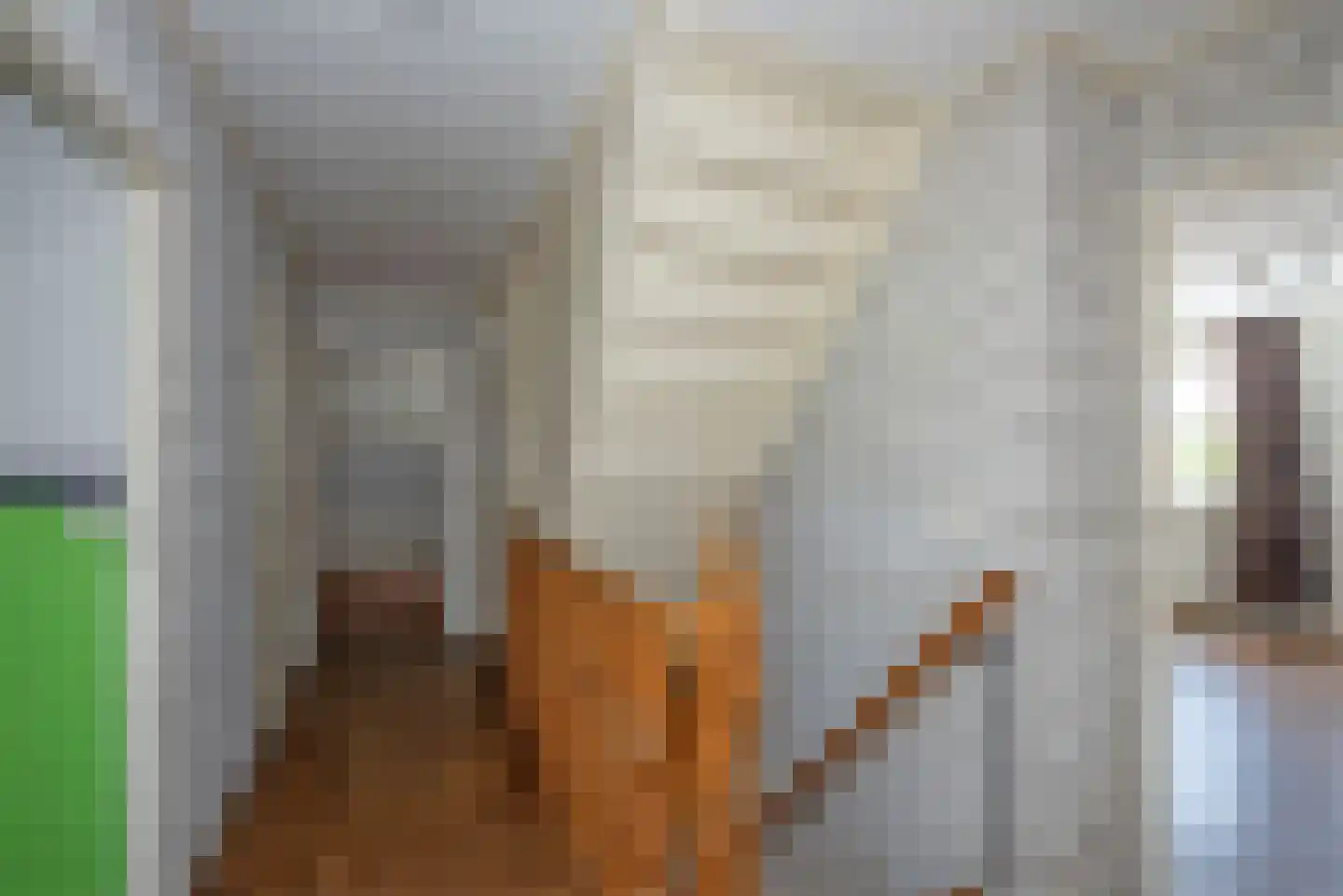De Haverkamp 20 Reutum thumbnail 15