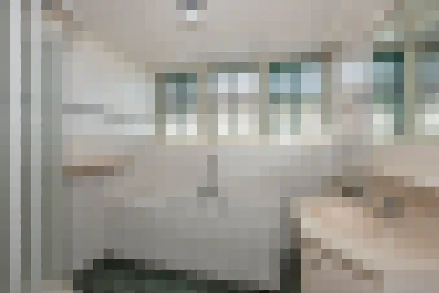 De Haverkamp 20 Reutum thumbnail 21