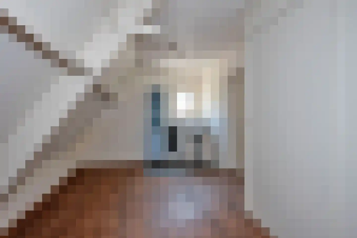 De Haverkamp 20 Reutum thumbnail 23