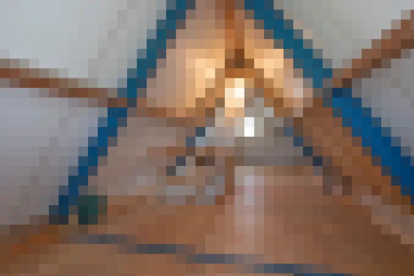 De Haverkamp 20 Reutum thumbnail 27