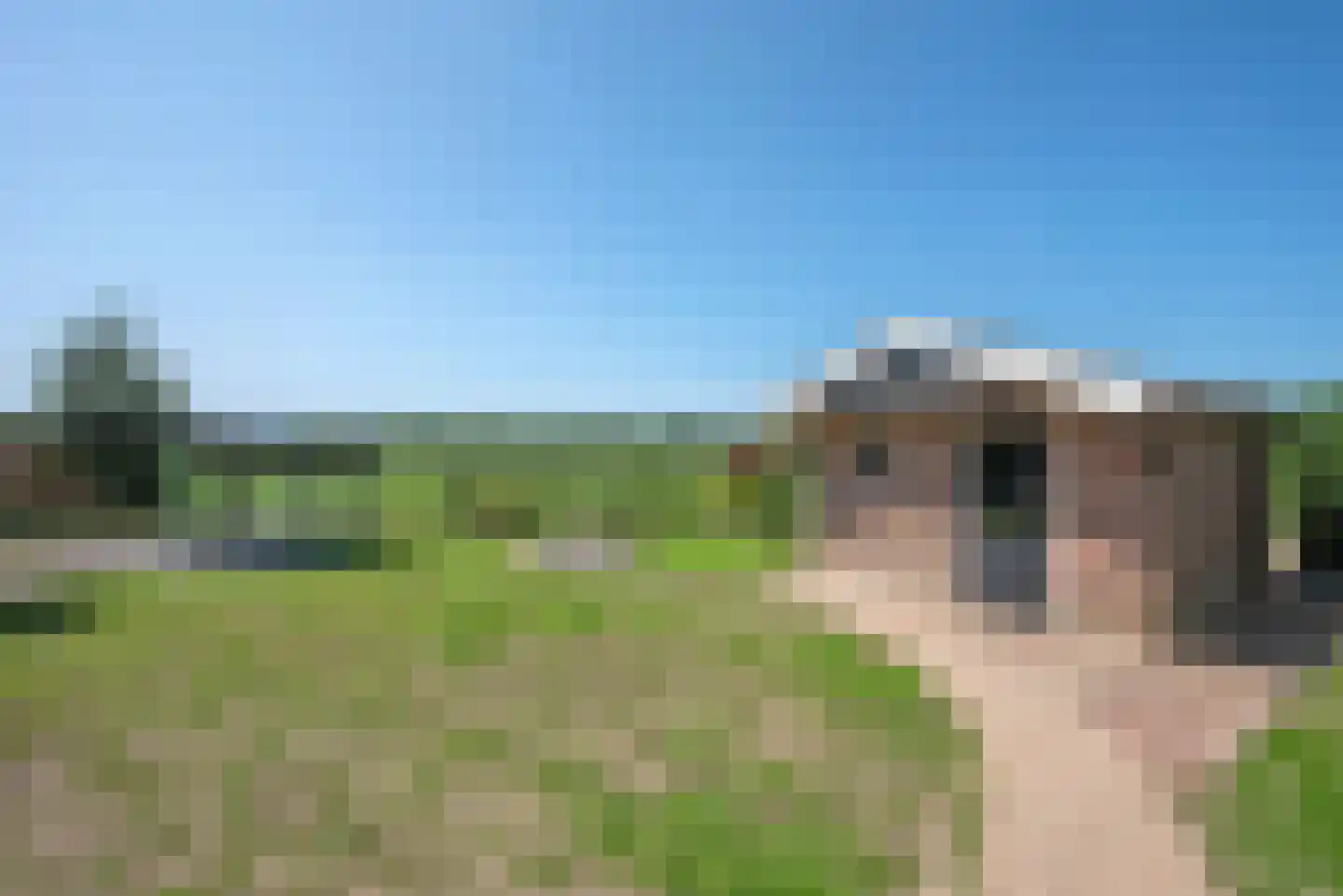 De Haverkamp 20 Reutum thumbnail 30
