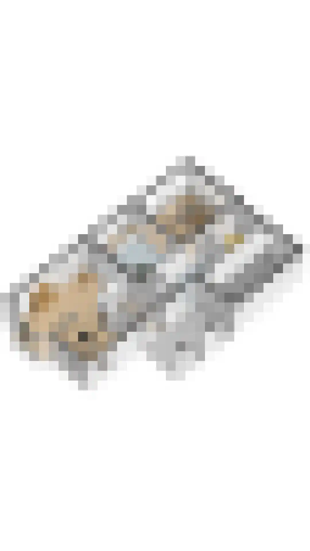 De Haverkamp 20 Reutum thumbnail 39