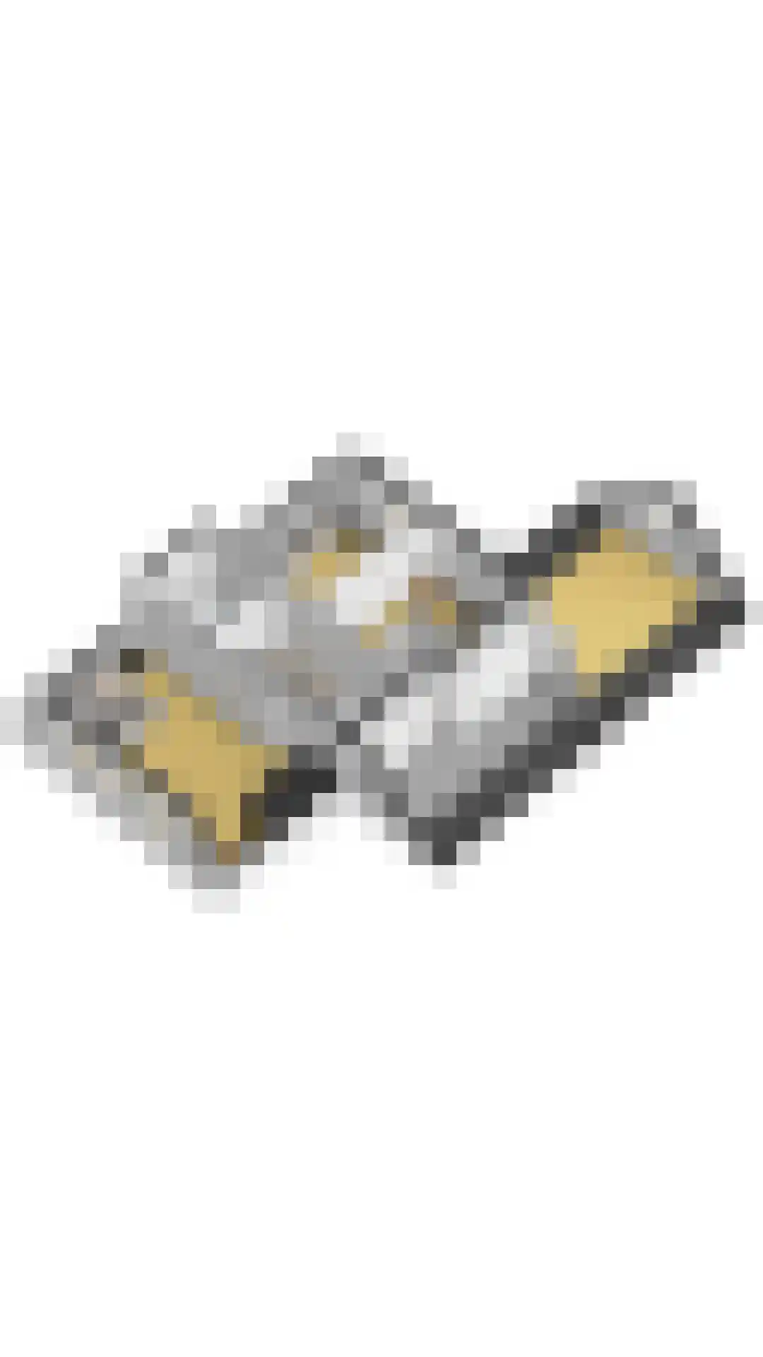 De Haverkamp 20 Reutum thumbnail 40