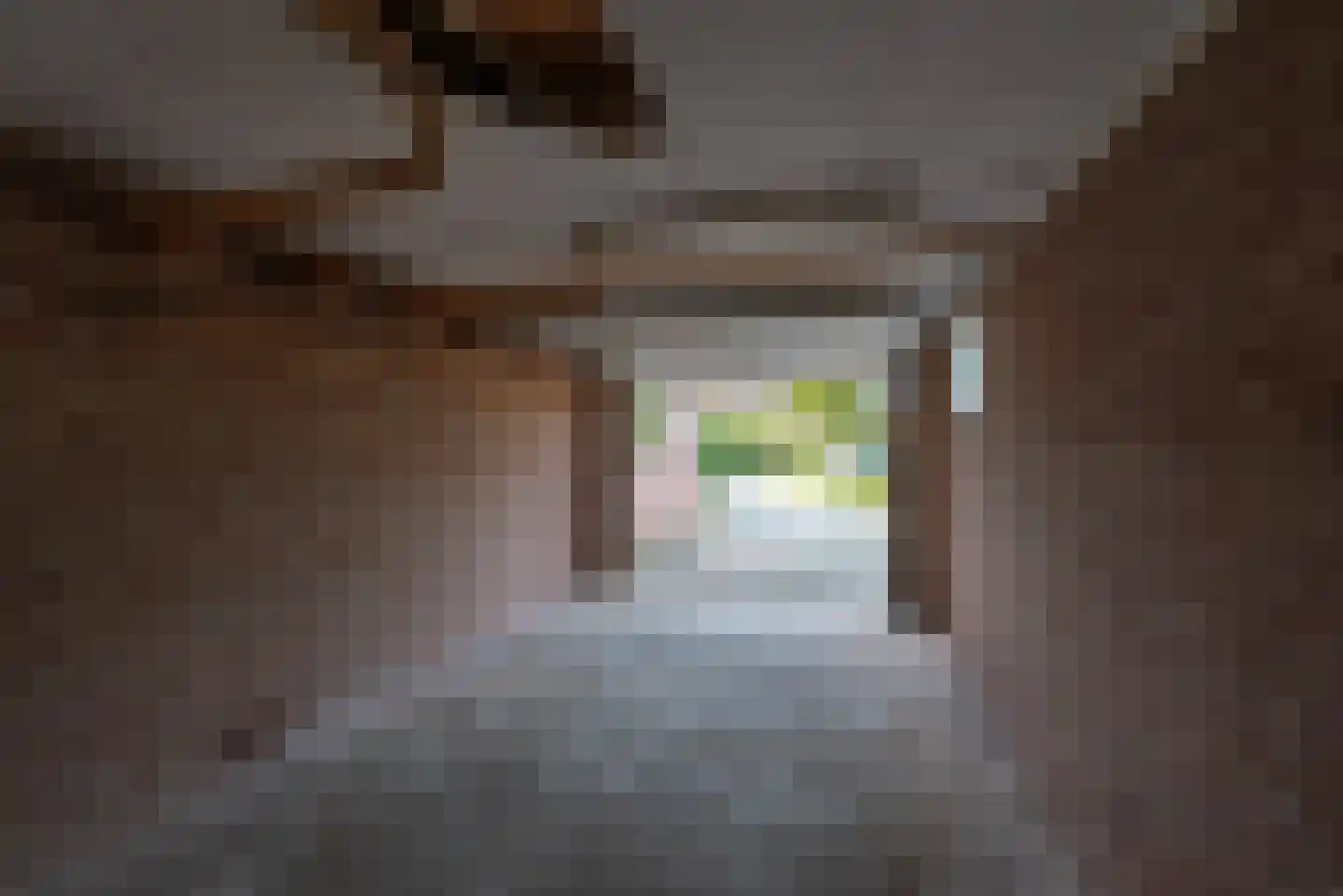 de Haverkamp 24 Heerde thumbnail 33