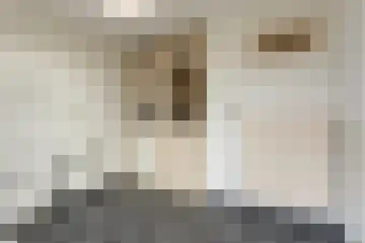 de Haverkamp 32 Heerde thumbnail 10