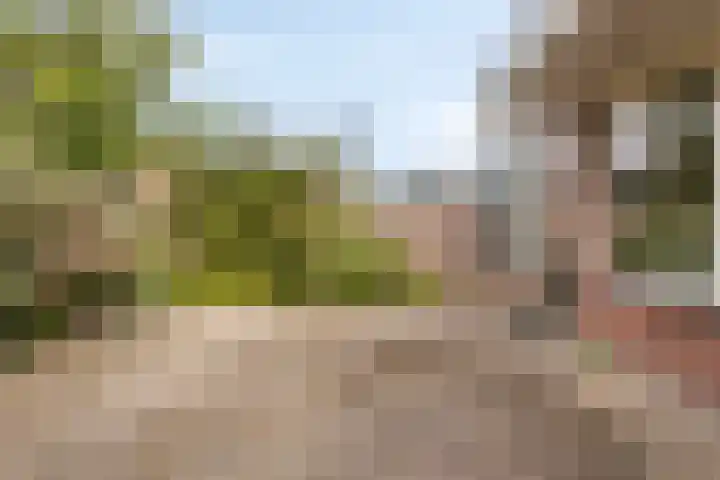de Haverkamp 32 Heerde thumbnail 21