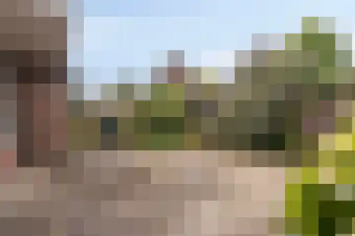 de Haverkamp 32 Heerde thumbnail 22