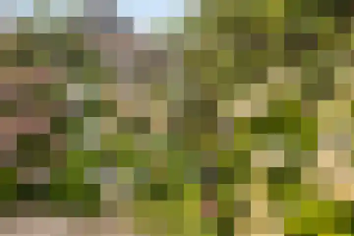 de Haverkamp 32 Heerde thumbnail 23
