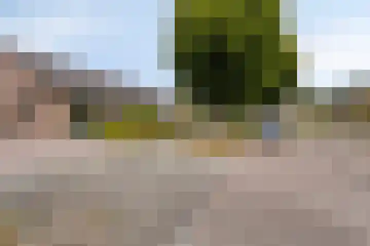 de Haverkamp 32 Heerde thumbnail 28