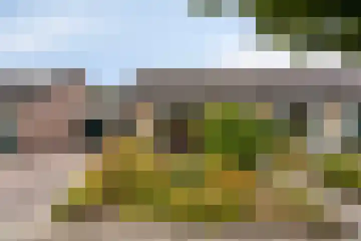 de Haverkamp 32 Heerde thumbnail 29