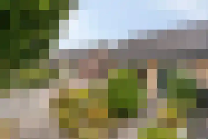 de Haverkamp 32 Heerde thumbnail 30