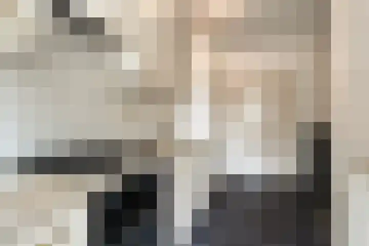de Haverkamp 32 Heerde thumbnail 8