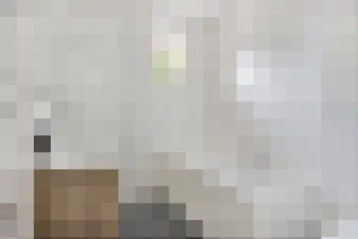 De Haverkamp 35 Lunteren thumbnail 17