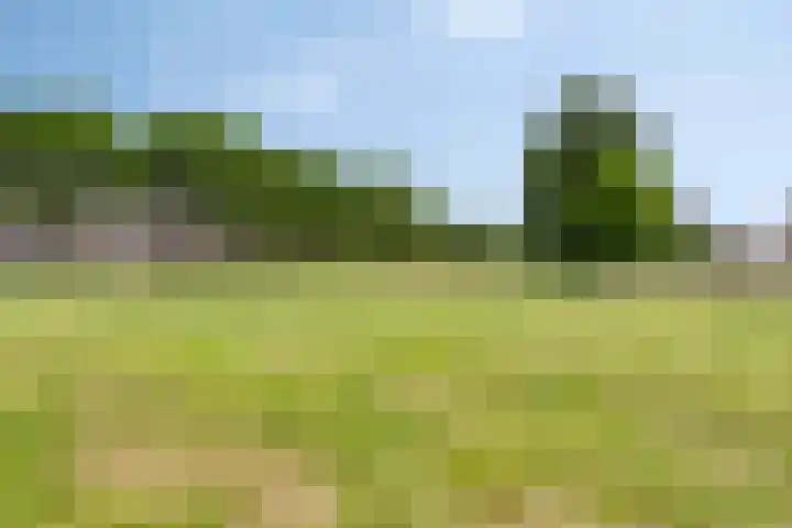 De Haverkamp 35 Lunteren thumbnail 37