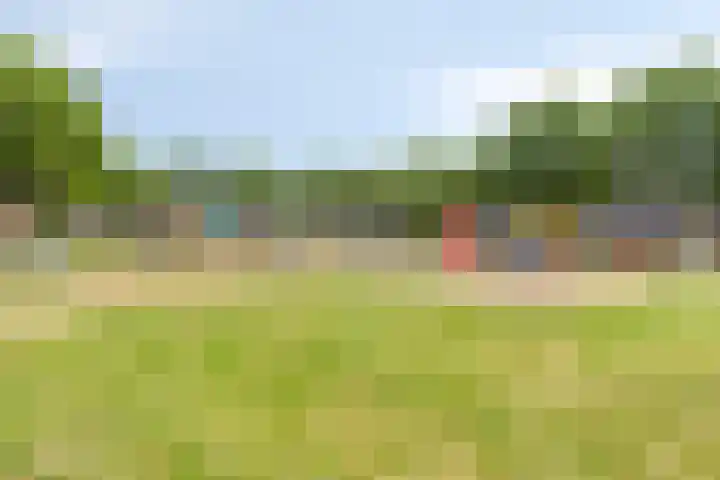 De Haverkamp 35 Lunteren thumbnail 38