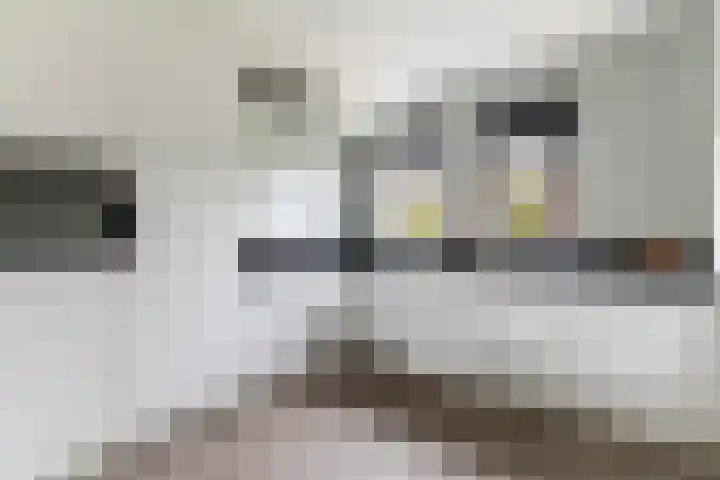 De Haverkamp 42 Lunteren thumbnail 12