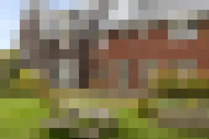 De Haverkamp 42 Lunteren thumbnail 41