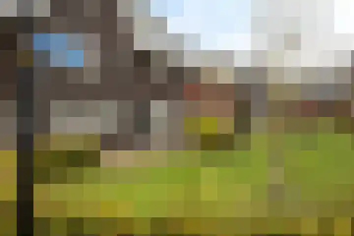 De Haverkamp 42 Lunteren thumbnail 42