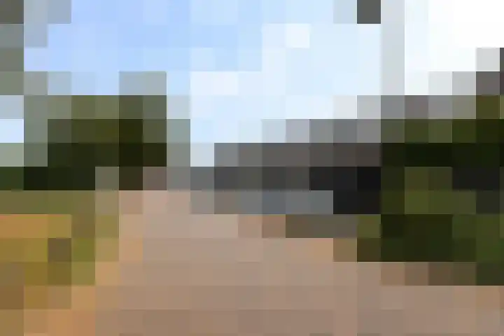 De Haverkamp 42 Lunteren thumbnail 43