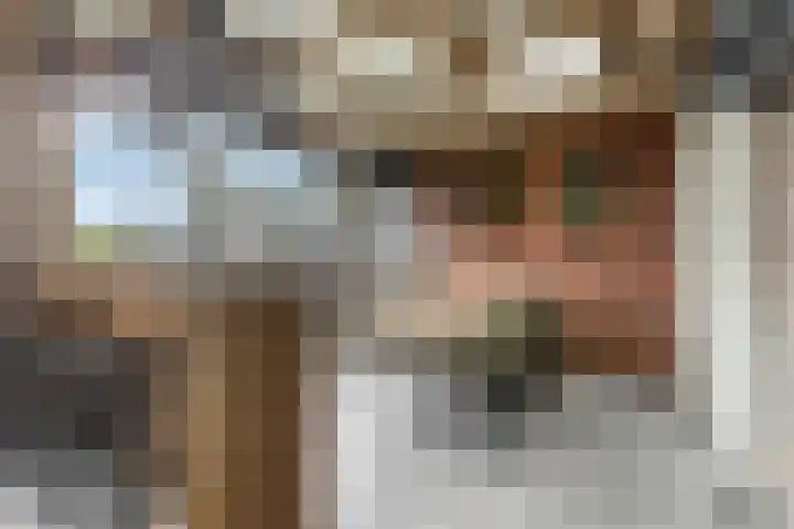 De Haverkamp 44 Lunteren thumbnail 13