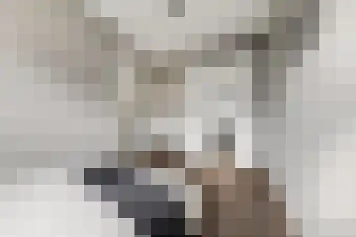 De Haverkamp 44 Lunteren thumbnail 23