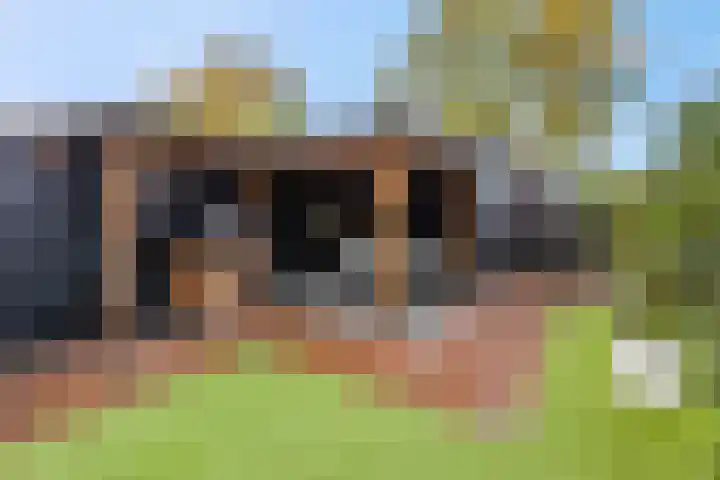 De Haverkamp 44 Lunteren thumbnail 32