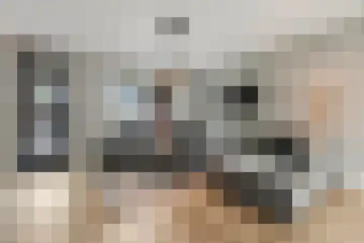 De Haverkamp 44 Lunteren thumbnail 4