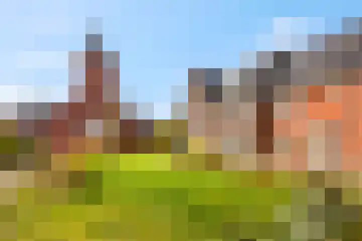 De Haverkamp 44 Lunteren thumbnail 41