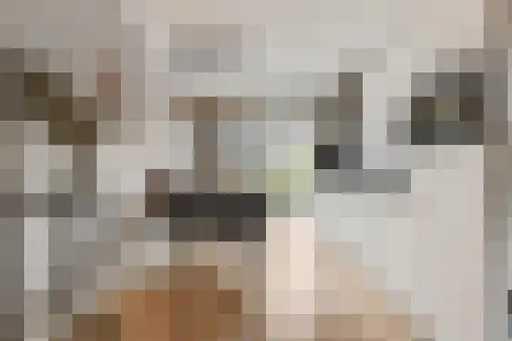 De Haverkamp 44 Lunteren thumbnail 9