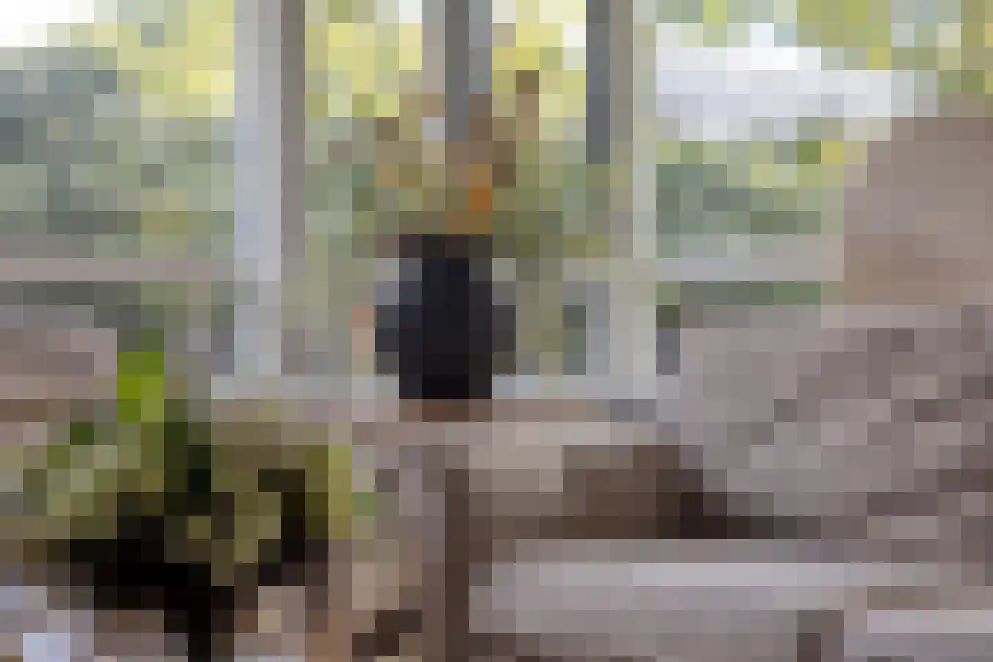 De Haverkamp 46 Lunteren thumbnail 10