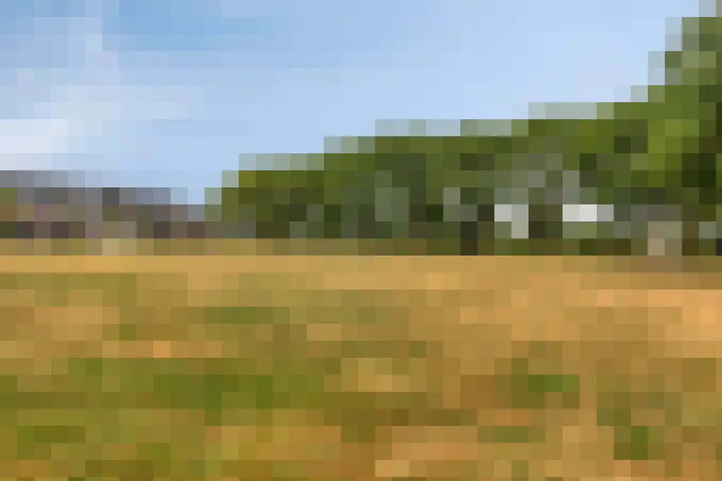 De Haverkamp 5 Lunteren thumbnail 31