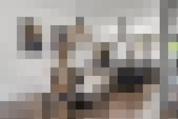 De Haverkamp 68 Lunteren thumbnail 13