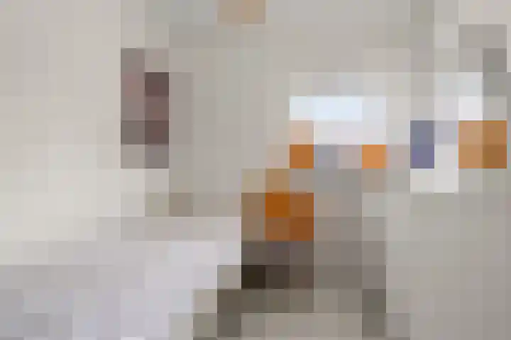 De Haverkamp 68 Lunteren thumbnail 22