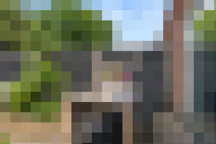 De Haverkamp 68 Lunteren thumbnail 32