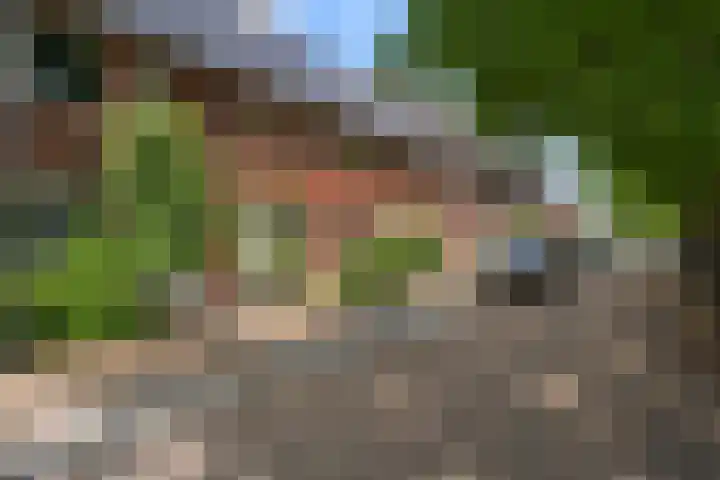 De Haverkamp 68 Lunteren thumbnail 34