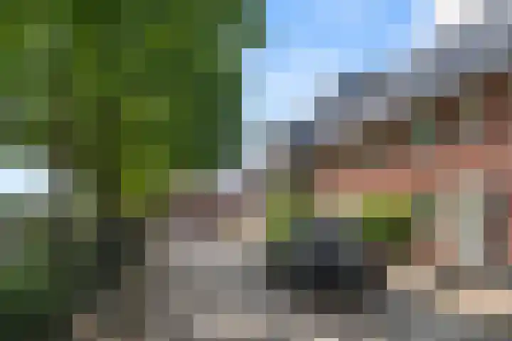 De Haverkamp 68 Lunteren thumbnail 36