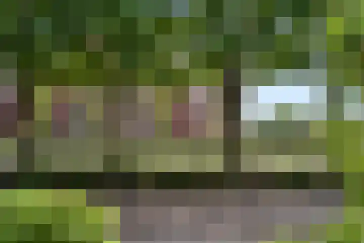 De Haverkamp 68 Lunteren thumbnail 37