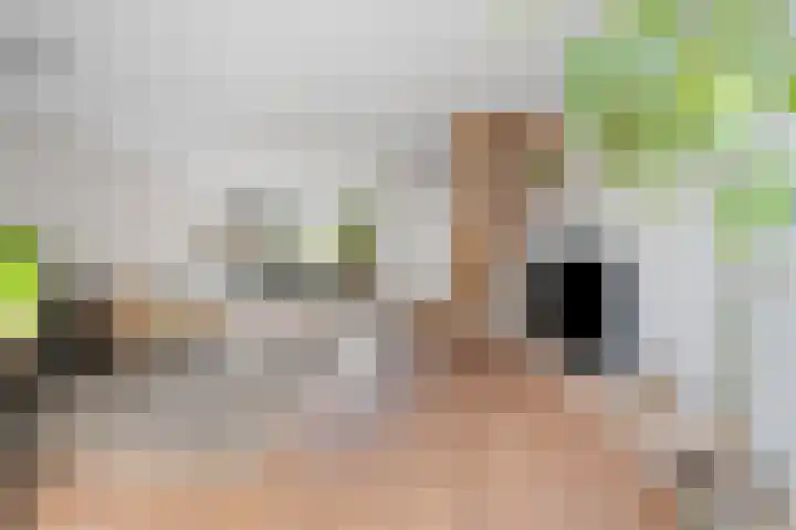 De Haverkamp 9 Nuenen thumbnail 12