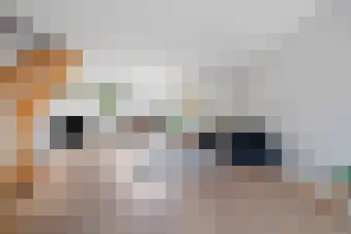 De Haverkamp 9 Nuenen thumbnail 17