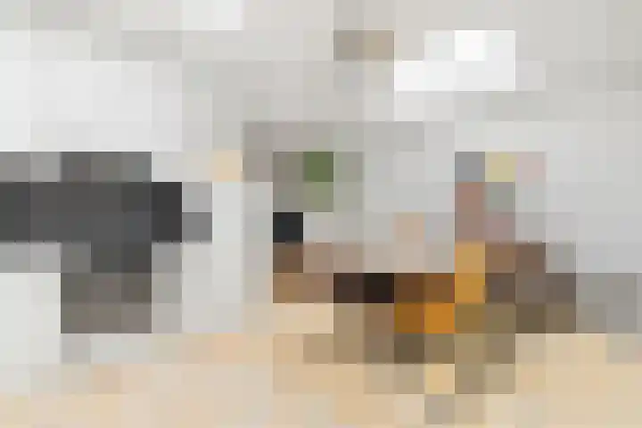 De Haverkamp 9 Nuenen thumbnail 26