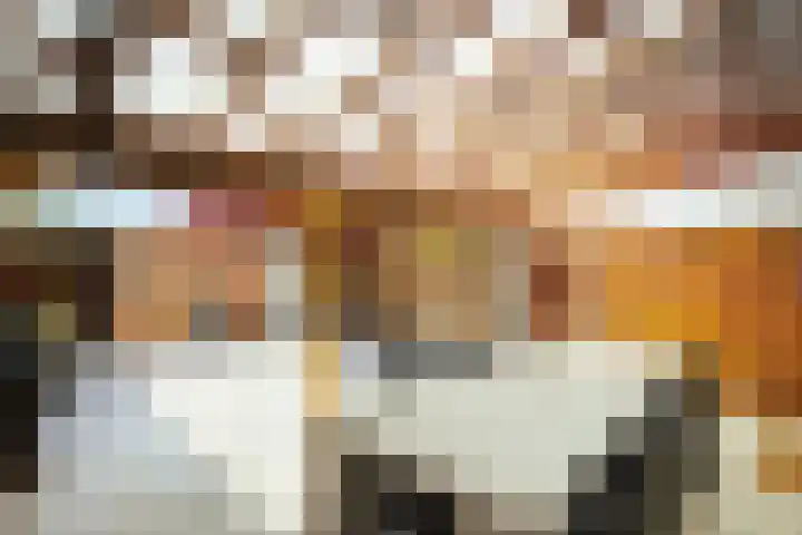 De Haverkamp 9 Nuenen thumbnail 32