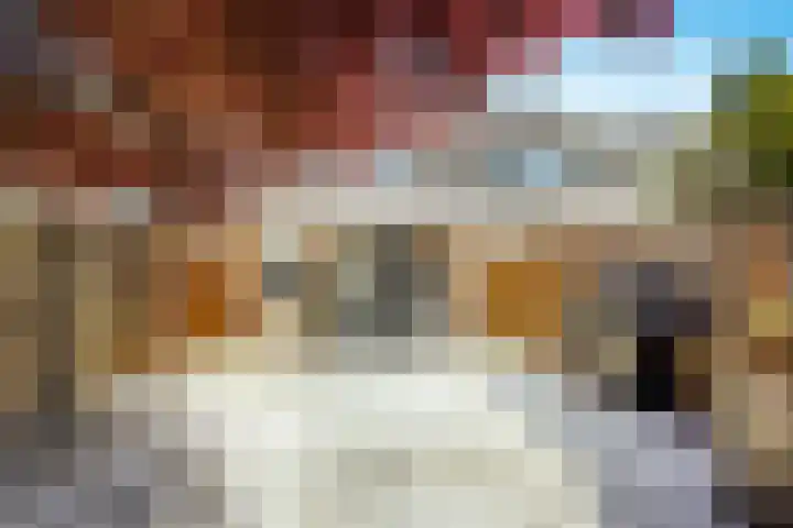 De Haverkamp 9 Nuenen thumbnail 35