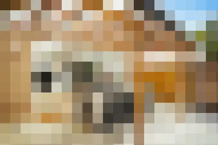 De Haverkamp 9 Nuenen thumbnail 36