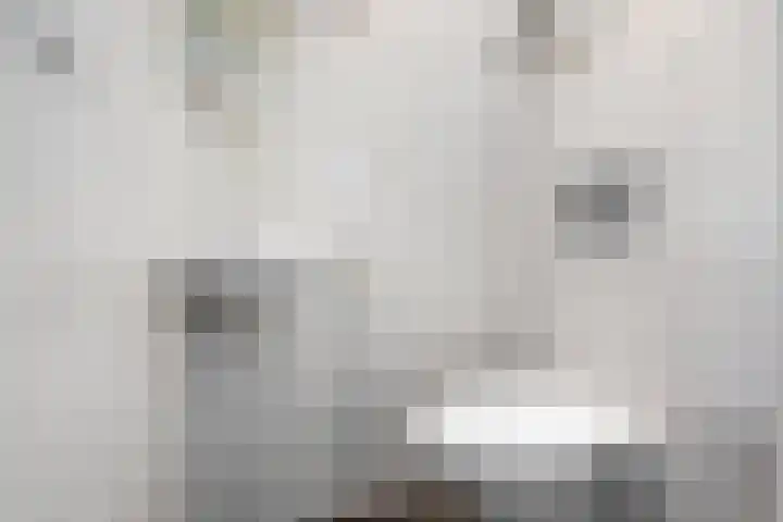 De Haverkamp 9 Nuenen thumbnail 38