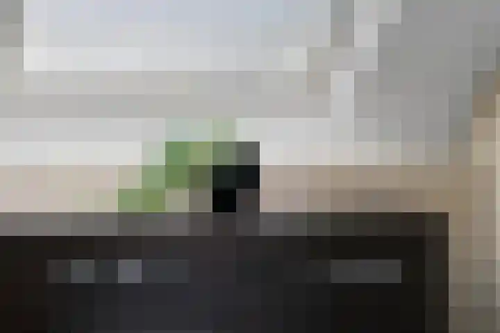 De Haverkamp 9 Nuenen thumbnail 42