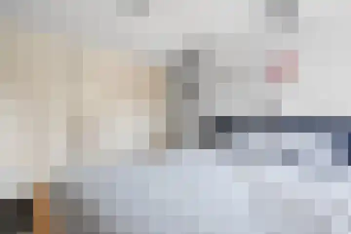De Haverkamp 9 Nuenen thumbnail 53