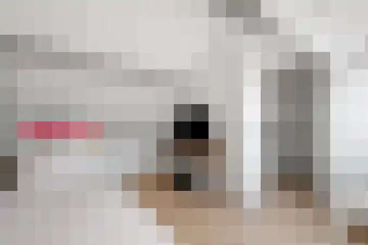 De Haverkamp 9 Nuenen thumbnail 62