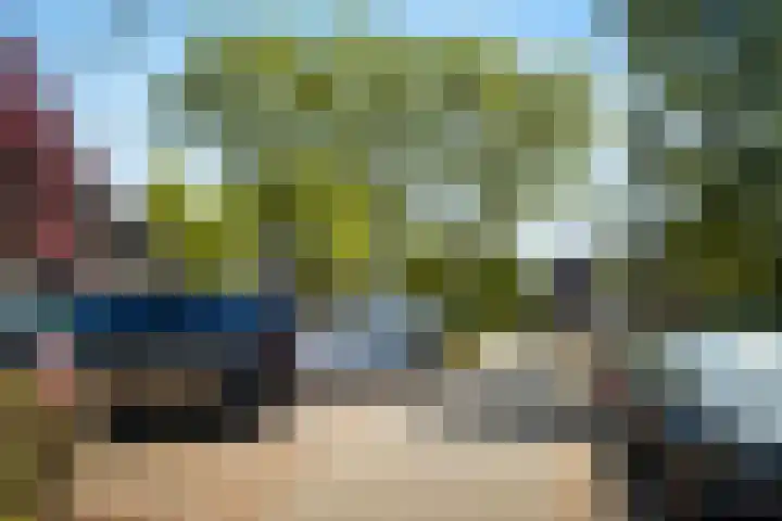 De Haverkamp 9 Nuenen thumbnail 65