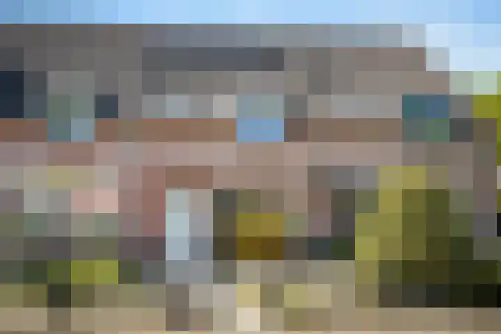 De Haverkamp 9 Nuenen thumbnail 8